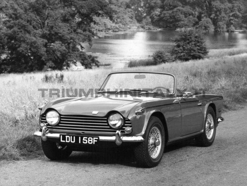 Roadster TR5